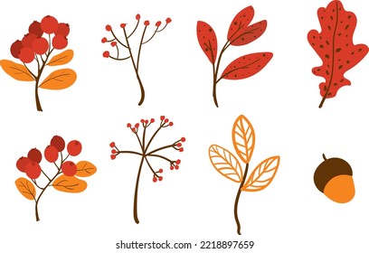 Vector set of doodle floral elements. Autumn collection. Flower graphic design. Herbs, berries and wild flowers. Hand drawn vector botany set. Modern fall seasonal decor isolated in white