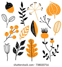 Vector set of doodle floral elements. Autumn collection. Flower graphic design. Herbs, berries and wild flowers. Hand drawn vector botany set. Modern fall seasonal decor
