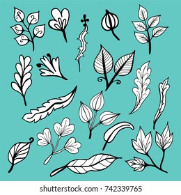 Vector set of doodle flower and Leave beautiful  illustration.
