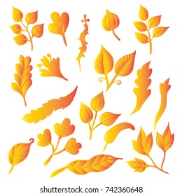 Vector set of doodle flower and Leaves gold beautiful  autumn illustrator.