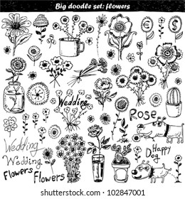 Vector set: doodle flowers