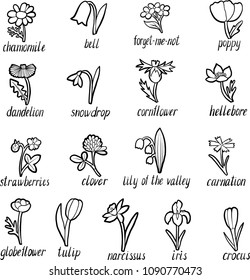 vector set of doodle flowers, hand drawn illustration