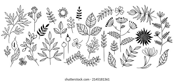 vector set of doodle flowers, leaves and berries