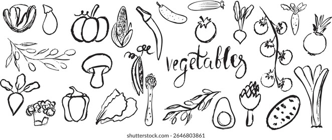 conjunto vetorial de verduras desenhadas à mão doodle. . Ilustração vetorial