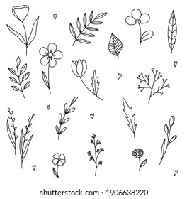 Vector set of doodle hand-drawn flowers. Collection of modern line illustrations.