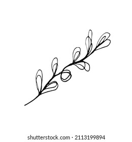 Conjunto vectorial de flores dibujadas a mano con doodle. Colección de ilustraciones modernas de líneas mínimas.