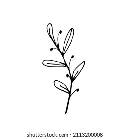 Vector set of doodle hand-drawn flowers. Collection of modern minimal line illustrations.