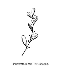 Vector set of doodle hand-drawn flowers. Collection of modern minimal line illustrations.