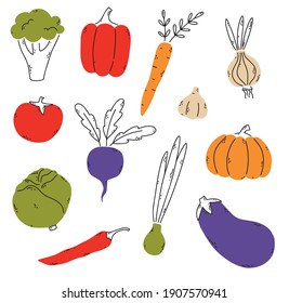 Vector set of doodle hand-drawn vegetables. Collection of modern line illustrations. Pumpkin, cabbage, eggplant, onion, garlic, pepper, broccoli, chilli, tomato.