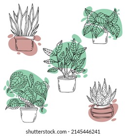 conjunto vectorial de plantas de hogar doodle sobre fondo blanco
