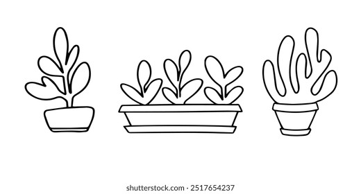 Vector set doodle illustration of an indoor plants. Decorative garden flowers for office and home decor, Isolated outline illustrations on white background