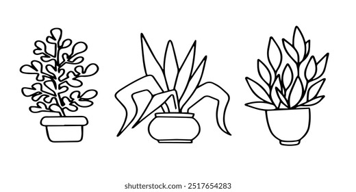 Vector set doodle illustrations of an indoor plants. Decorative garden flowers for office and home decor, Isolated outline illustrations on white background