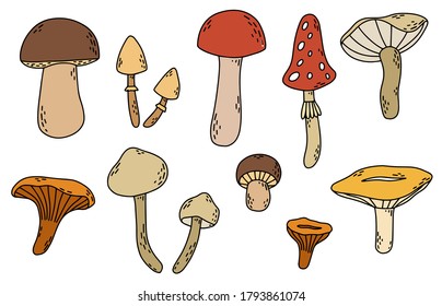 Vector set of doodle mushrooms, autumn forest harvest. boletus, shiitake, porcini, oyster, chanterelle,darner, bolrtus, chanterelles, fly agaric, russula, shimeji. Coloring pages, line illustrations