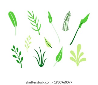 Vector set of doodle plants isolated on white background, hand drawn illustration.