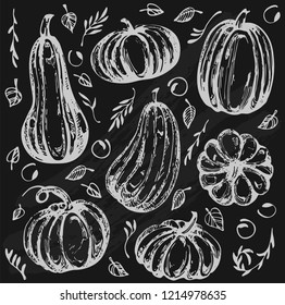 Vector set with doodle pumpkin on the black background