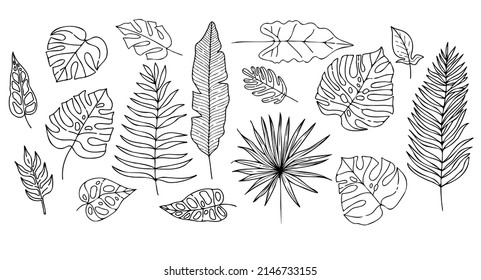 vector set of doodle tropical leaves 