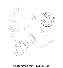 Vector set of doodle vegetable illustration isolated on white. Hand drawn cabbage, pumpkin, beets, carrots, potatoes, zucchini, eggplant, broccoli, garlic. Design for spring, summer, gardening,harvest