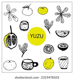 Vector set of doodle yuzu fruit elements.