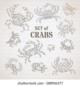 Vector set of doodles hand-drawn crab symbols. Various ornate icons on striped vintage background.