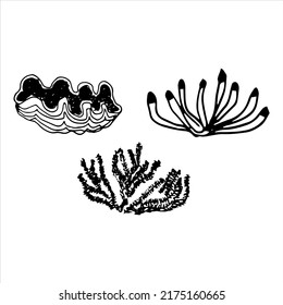 Vector set of doodles sea corals different