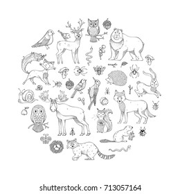 Vector set of doodles wild animals and woodland elements. Hand-drawn fox, wolf, owl, hare, squirrel, moose, deer, bear, raccoon, hedgehog and other mammals and birds. Autumn seeds, leaves, mushrooms.
