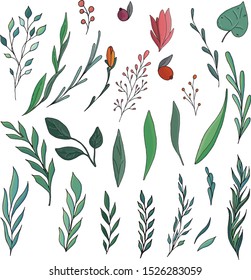 vector set of doodling elements of twigs of leaves of flower berries