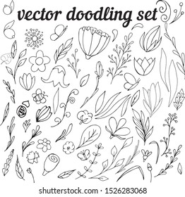 vector set of doodling flowers, twigs, cute drawings for kids
