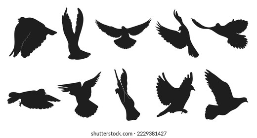 Vector set dove, pigeon flight, different pack of bird silhouettes hand draw, isolated vector