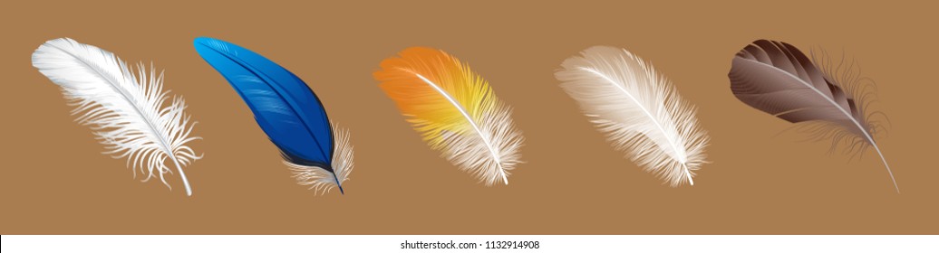 vector set of down, feather, Swan's down, goose feathers, chicken feathers, parrot feathers, plumelet 