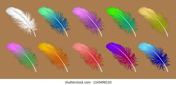 vector set of down, feather, Swan's down, goose feathers, chicken feathers, parrot feathers, plumelet