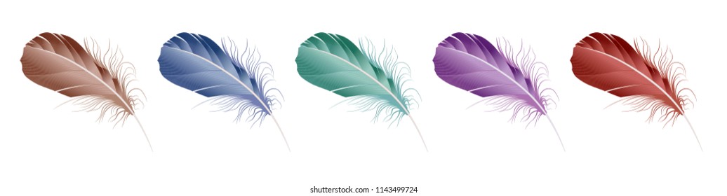 vector set of down, feather, Swan's down, goose feathers, chicken feathers, parrot feathers, plumelet