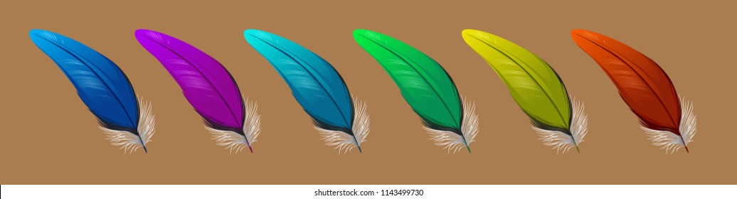 vector set of down, feather, Swan's down, goose feathers, chicken feathers, parrot feathers, plumelet