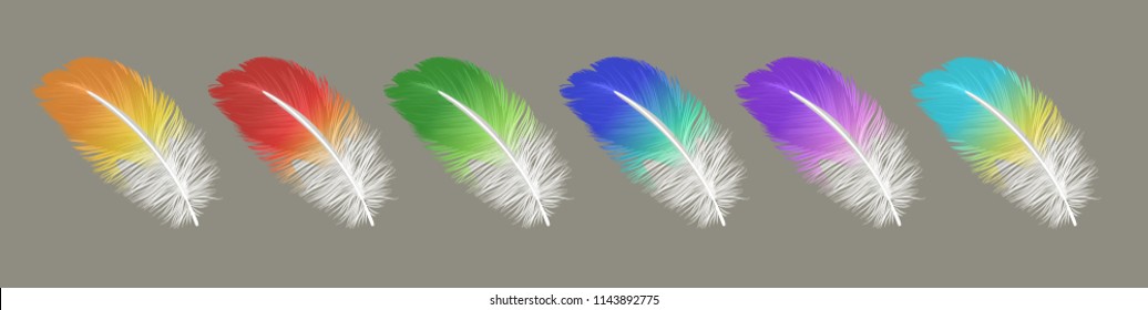 vector set of down, feather, Swan's down, goose feathers, chicken feathers, parrot feathers, plumelet