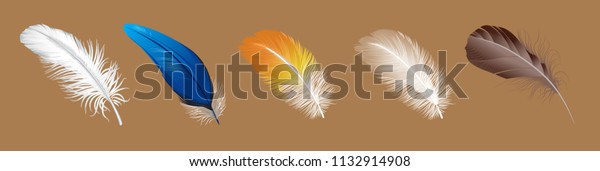 vector set of down,\
feather, Swan\'s down, goose feathers, chicken feathers, parrot\
feathers, plumelet 