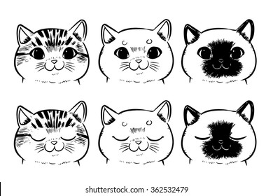 Vector set Drawing cat face isolated white background