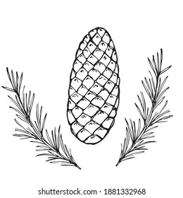 Vektorset zum Zeichnen von Weihnachtsbaumfäden und -kegel. Herbstelement. Handgezeichnete detaillierte botanische Illustration. Saisonale Vintage-Herbstdekoration. Ideal für Etiketten, Schilder, Abzeichen, saisonale Dekoration