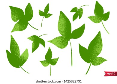 Vector set of drawing green leaves, artistic botanical illustration, isolated floral elements, hand drawn illustration.