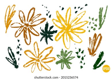 Vector set of drawing wild plants, flowers, artistic botanical illustration, isolated floral elements, hand drawn illustration.