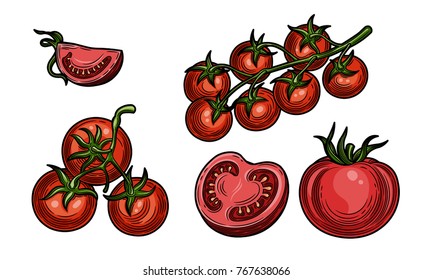 Vector set of drawings of tomatoes. Isolated tomatoes cut into pieces. Red, pink. Plant. Product farmer's market. Vector engraving illustration of black.