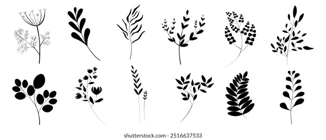 Vector set drawn by hand with the pen tool. Plants and tree branches, lush leaves, flowering plants.Plants and various leaves for decorating wedding invitations and postcards Set of leaves and twigs