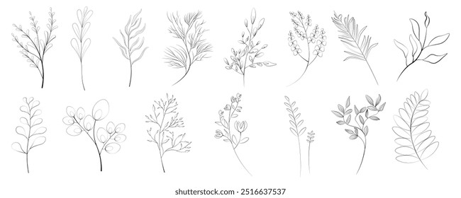 Vector set drawn by hand with the pen tool. Plants and tree branches, lush leaves, flowering plants.Plants and various leaves for decorating wedding invitations and postcards .Set of leaves and twigs