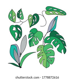 Vector set of drawn monstera leaves and buds. Green and gray elements isolated on white background.