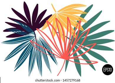 Vector set of drawn palm leaves, colorful artistic botanical illustration, isolated floral elements, hand drawn illustration.