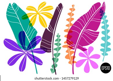 Vector set of drawn tropical leaves, colorful artistic botanical illustration, isolated floral elements, hand drawn illustration.