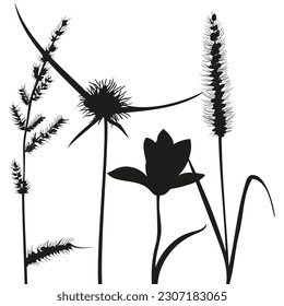 vector set of dry grass silhouette sketch and flowers for card design, wallpaper, textile, fabric pattern on white background