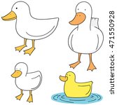vector set of duck