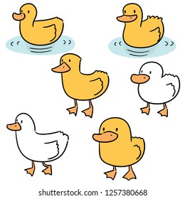 vector set of duck