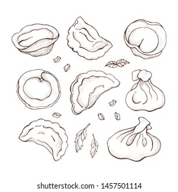 Vector set of dumplings with spice. Sketch hand drawn Ravioli. Vareniki. Pelmeni. Meat dumplings. Food. Cooking. National dishes. Products from the dough and meat