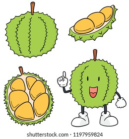 vector set of durian