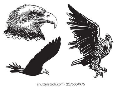 Vector set of eagles, eagle flying and portrait of eagle. Bald eagle, symbol of America